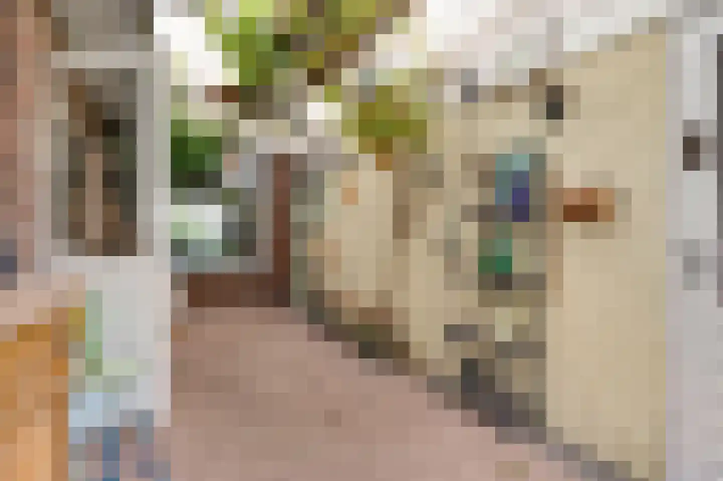 Tijdigstraat 21 Weert thumbnail 27
