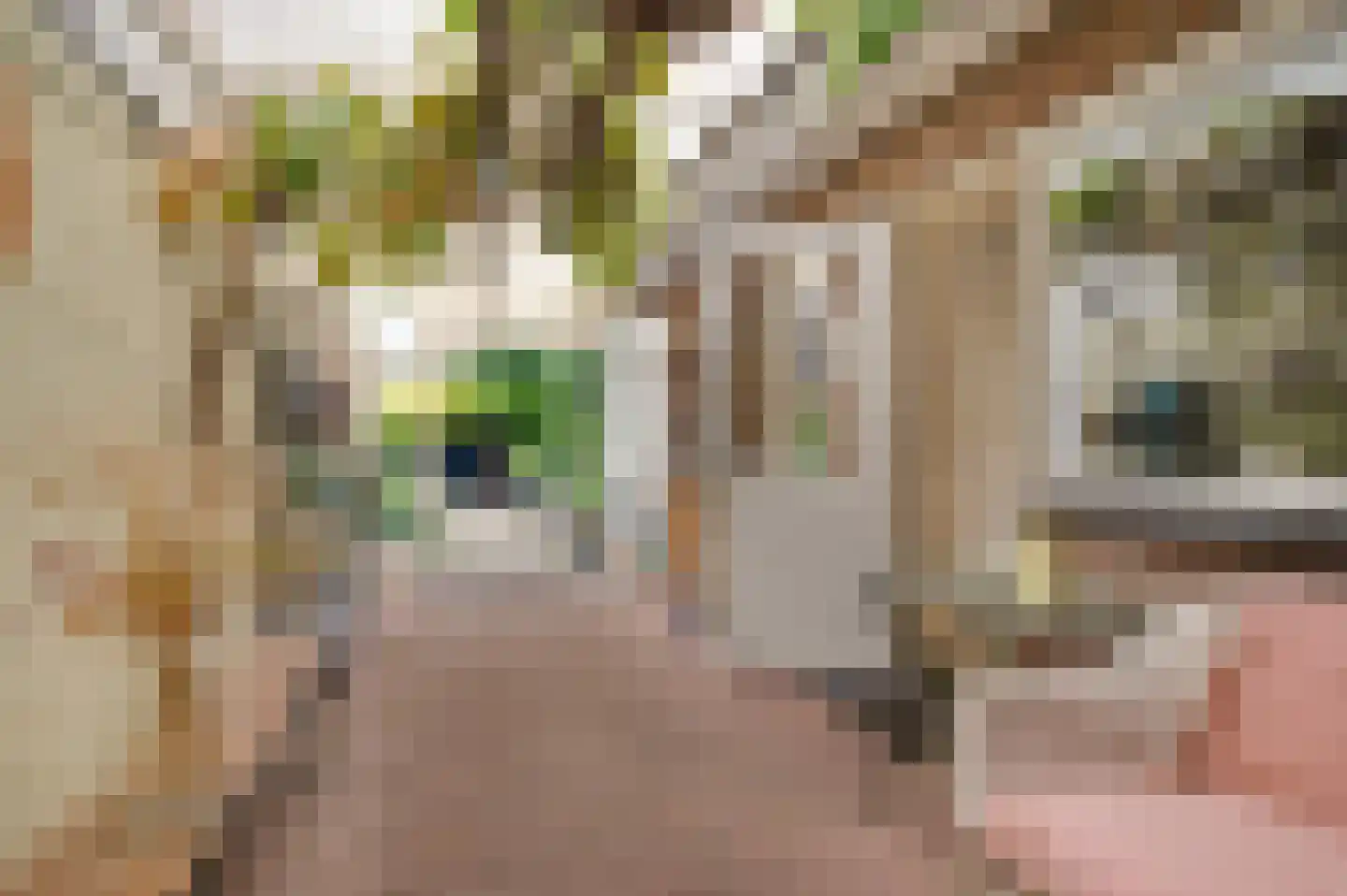 Tijdigstraat 21 Weert thumbnail 28