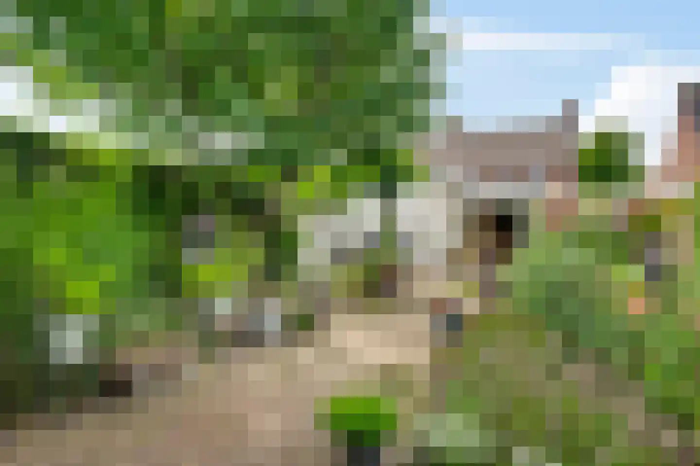 Tijdigstraat 21 Weert thumbnail 34