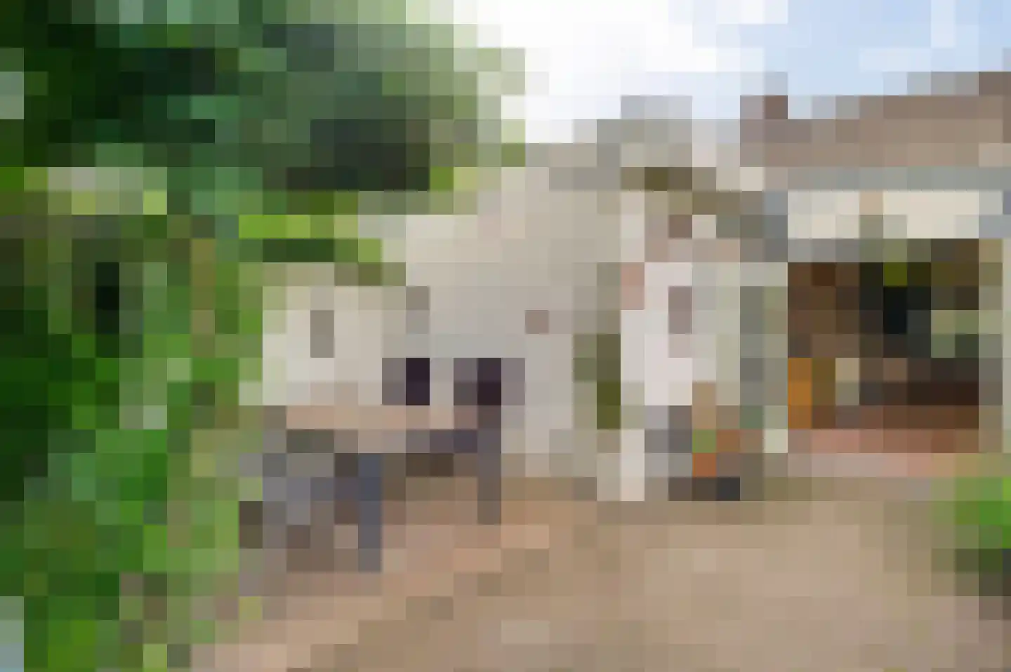 Tijdigstraat 21 Weert thumbnail 35