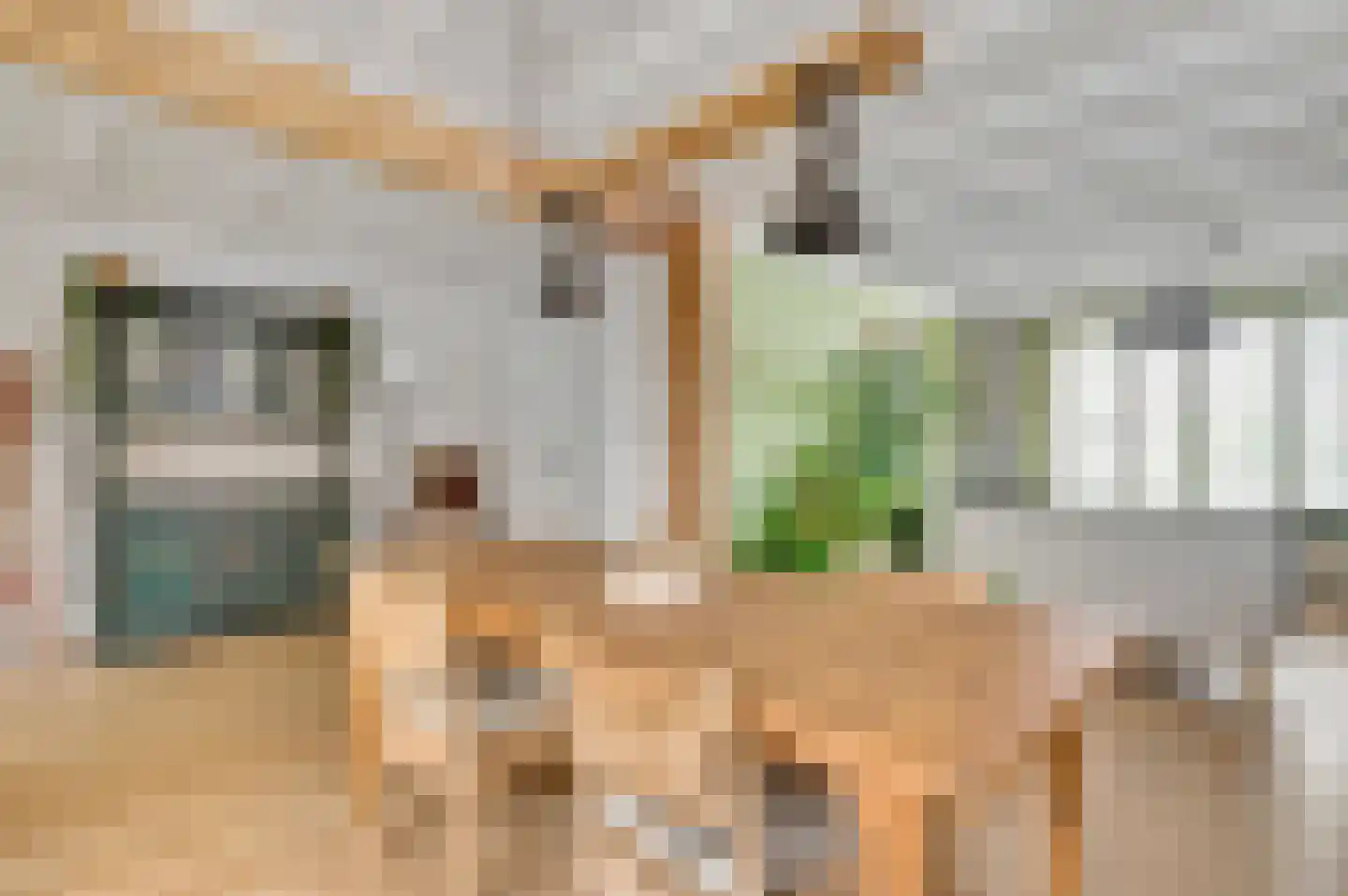 Tijdigstraat 21 Weert thumbnail 8