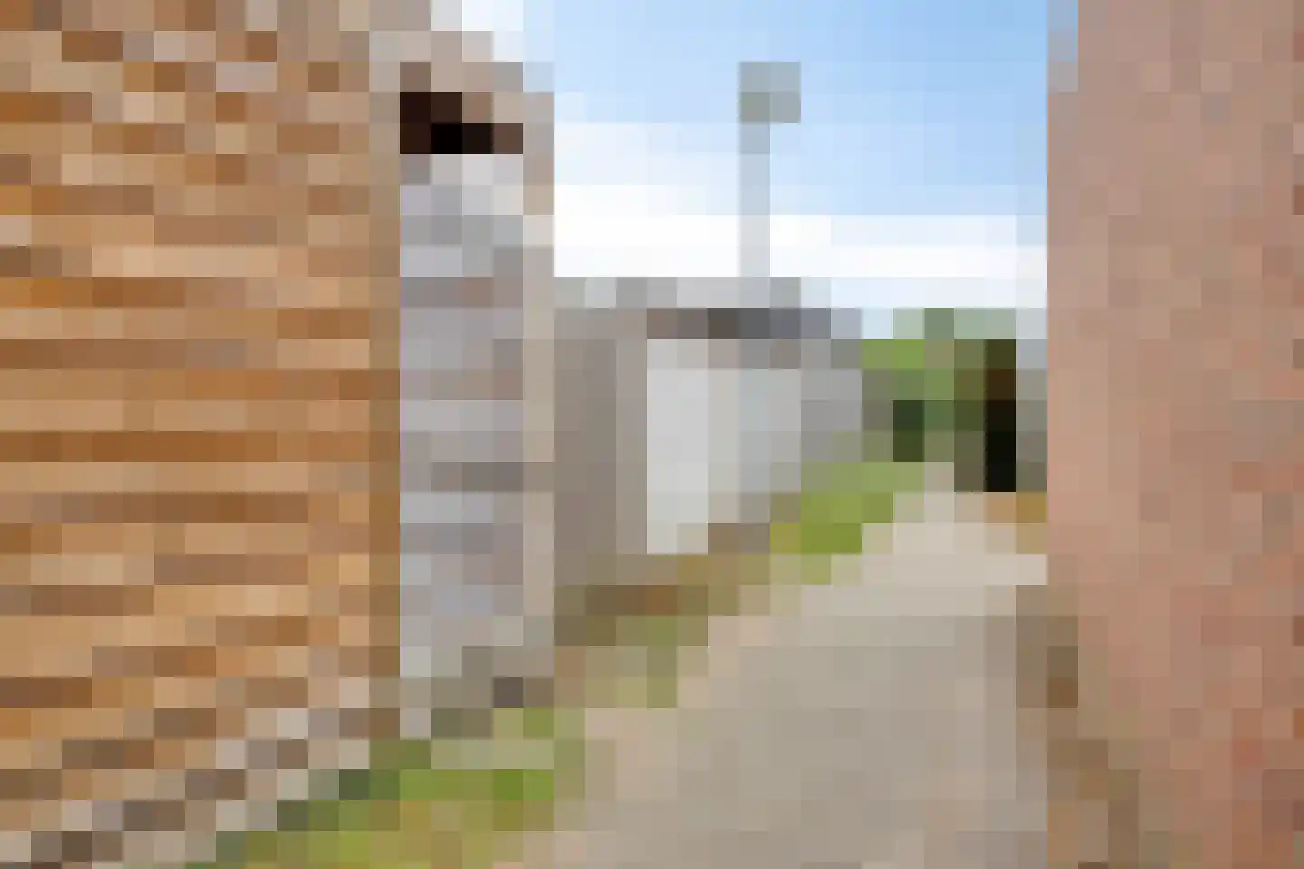 Tijdigstraat 8 Weert thumbnail 24