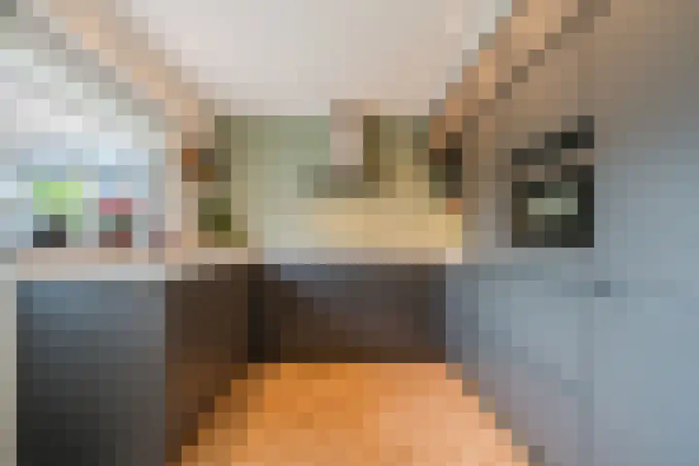 Tijenesch 2 Delden thumbnail 17