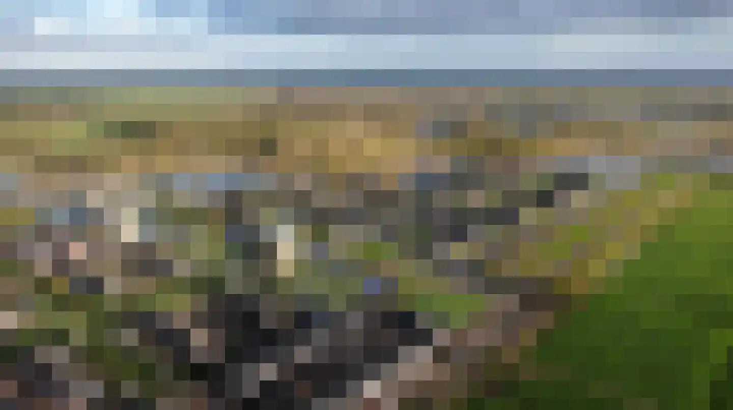 Tijgerblauwtje 71 Wolvega thumbnail 6
