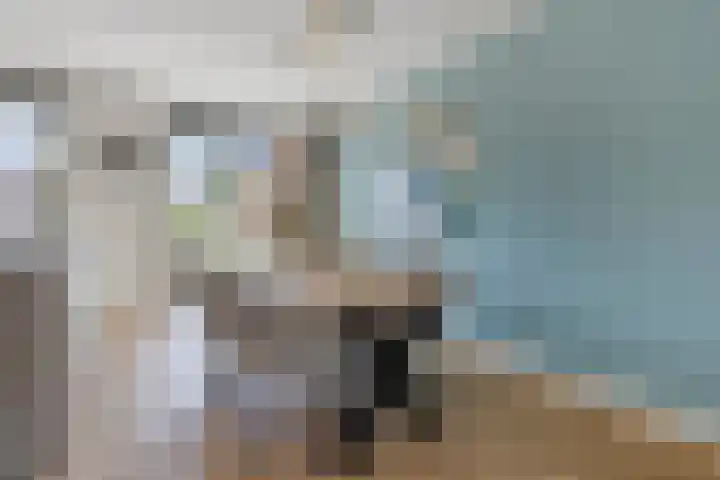 Tijgeroog 11 Zevenbergen thumbnail 11