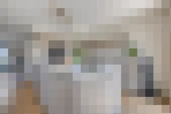 Tijgeroog 11 Zevenbergen thumbnail 12