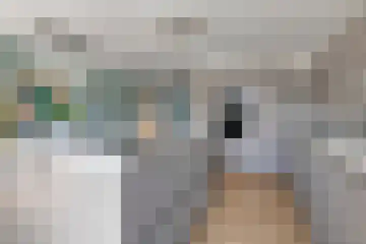 Tijgeroog 11 Zevenbergen thumbnail 13
