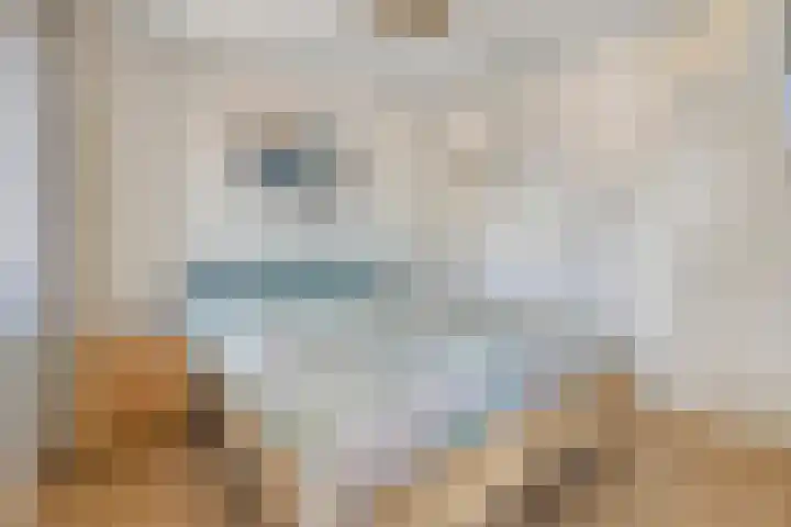 Tijgeroog 11 Zevenbergen thumbnail 15