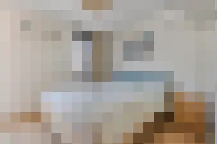 Tijgeroog 11 Zevenbergen thumbnail 16