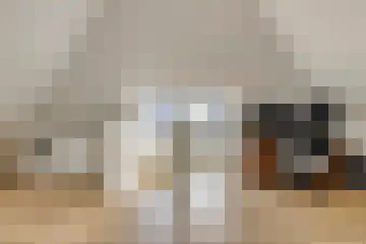 Tijgeroog 11 Zevenbergen thumbnail 23