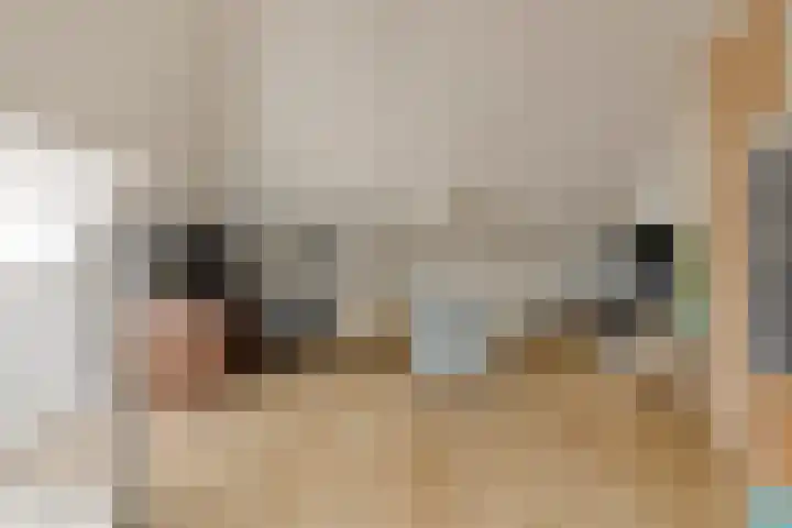 Tijgeroog 11 Zevenbergen thumbnail 25