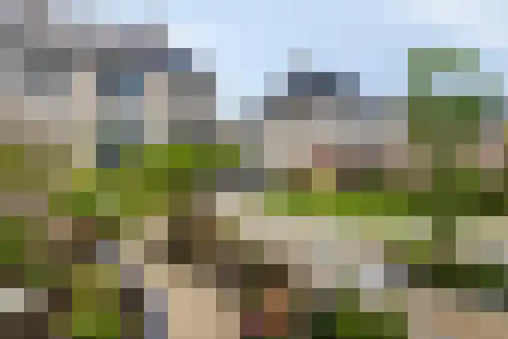 Tijgeroog 11 Zevenbergen thumbnail 26