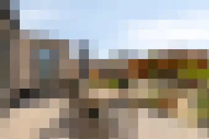 Tijgeroog 11 Zevenbergen thumbnail 27