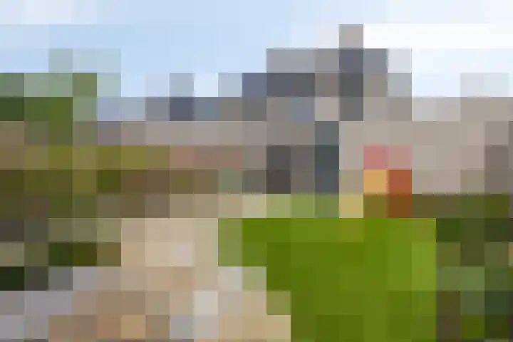 Tijgeroog 11 Zevenbergen thumbnail 28