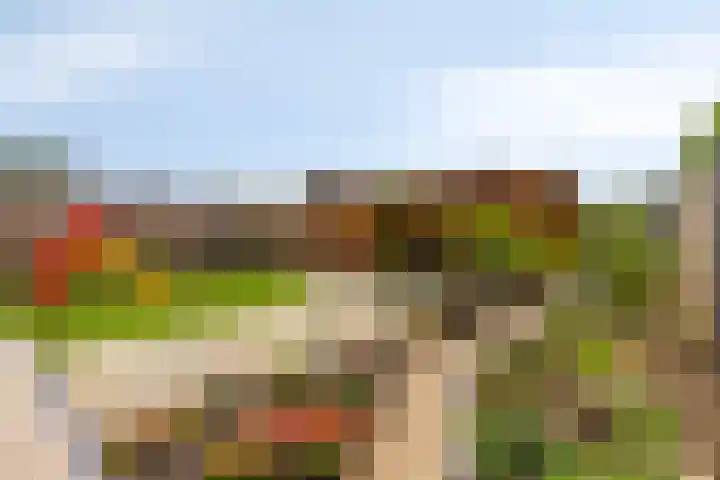 Tijgeroog 11 Zevenbergen thumbnail 29