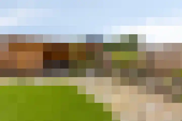 Tijgeroog 11 Zevenbergen thumbnail 31