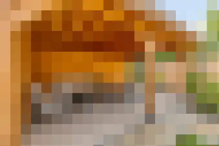 Tijgeroog 11 Zevenbergen thumbnail 33