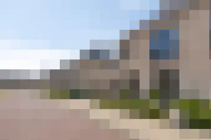 Tijgeroog 11 Zevenbergen thumbnail 34
