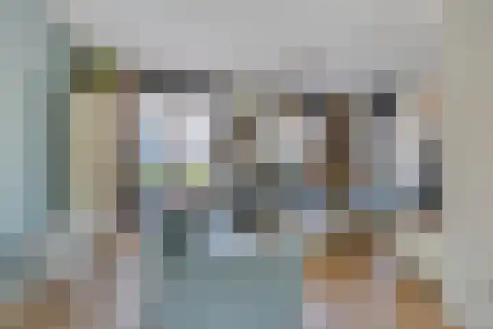 Tijgeroog 11 Zevenbergen thumbnail 8