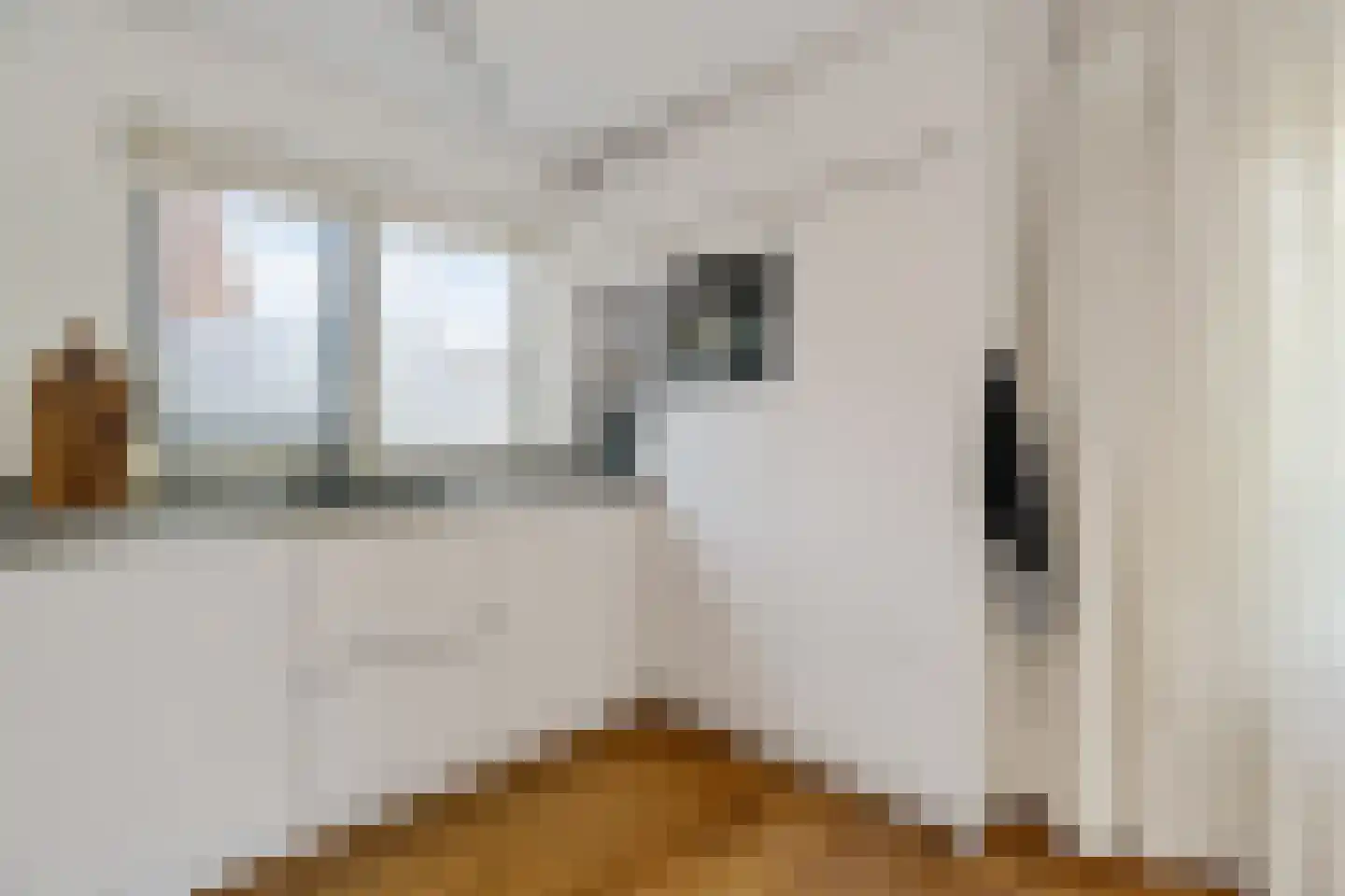 Tijgeroogdreef 10 Emmen thumbnail 12