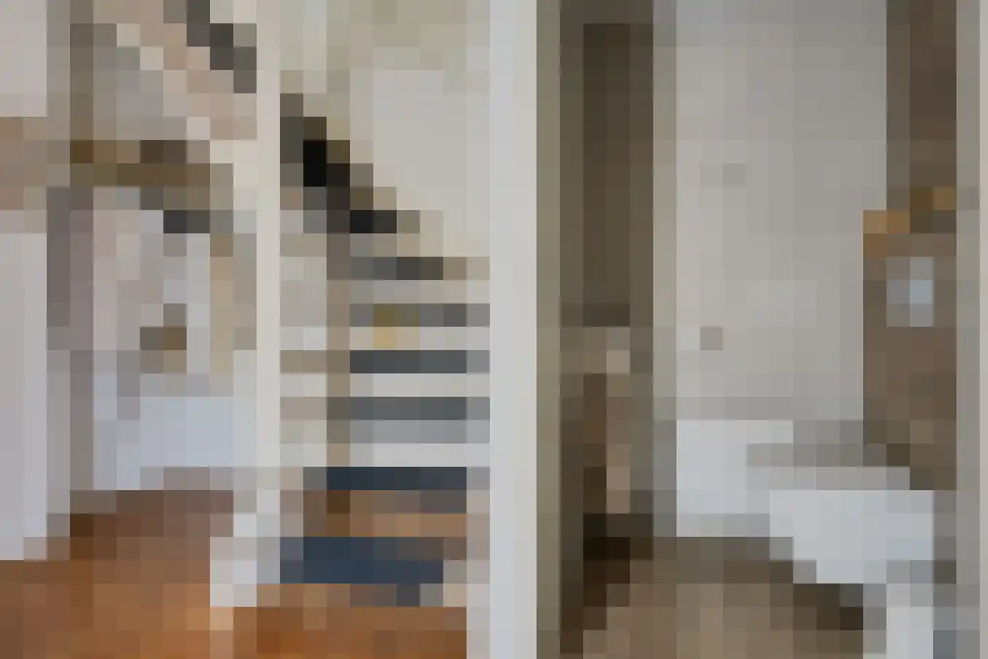 Tijgeroogdreef 10 Emmen thumbnail 14