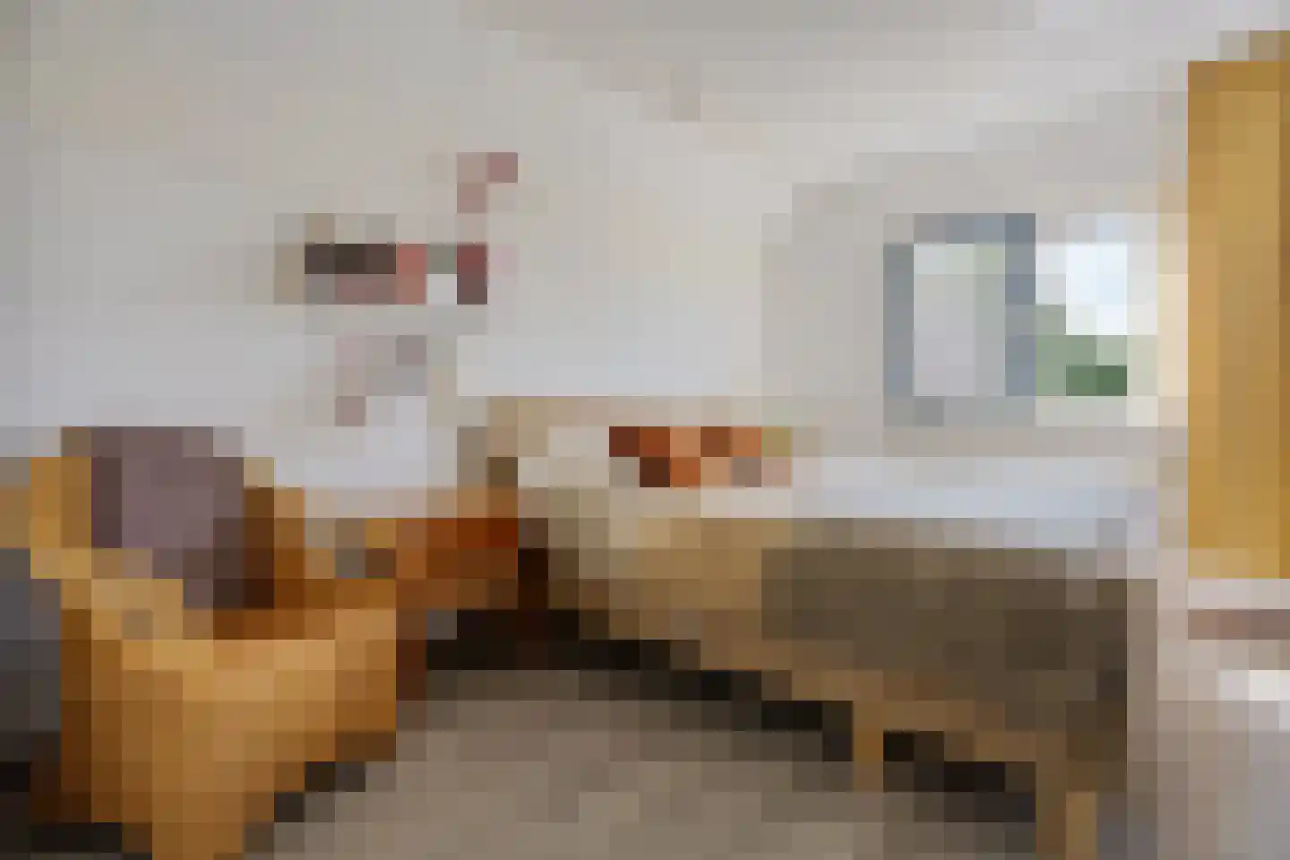 Tijgeroogdreef 10 Emmen thumbnail 18