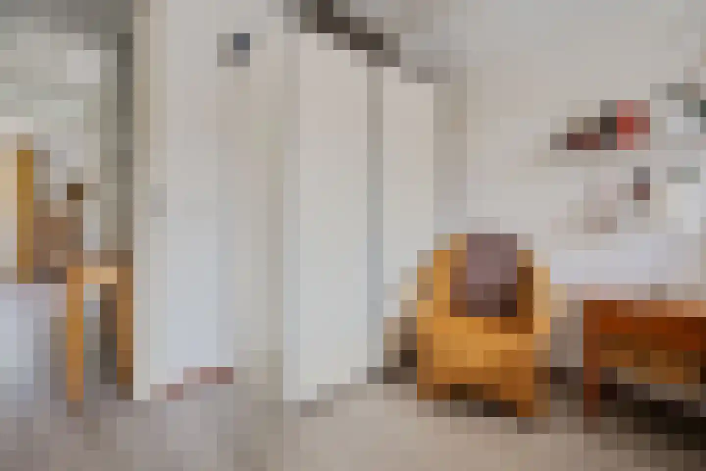 Tijgeroogdreef 10 Emmen thumbnail 20