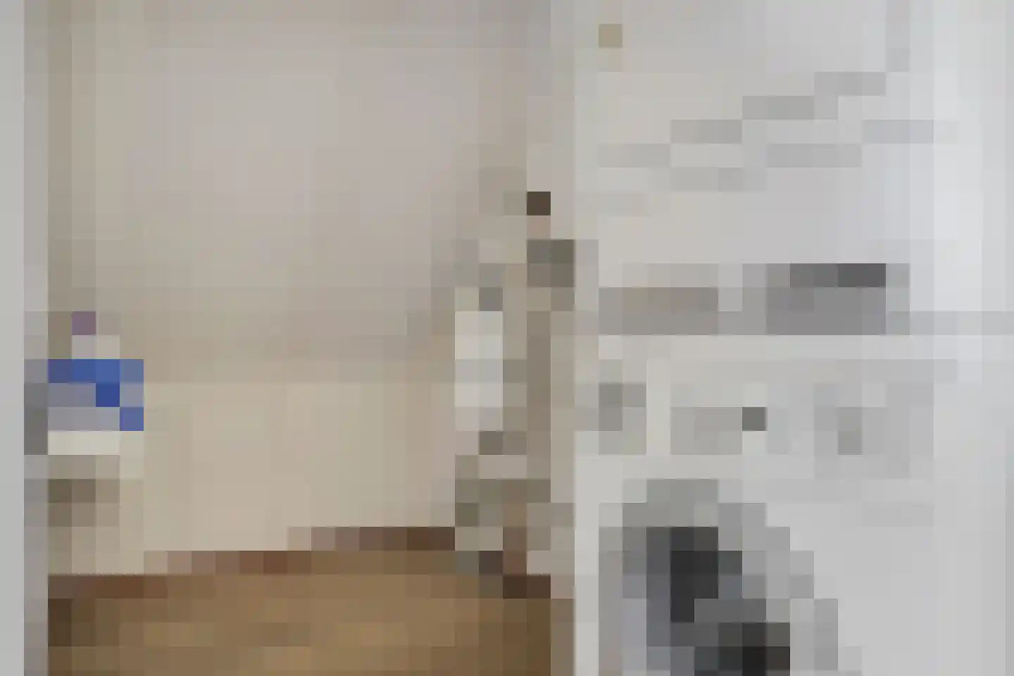 Tijgeroogdreef 10 Emmen thumbnail 25