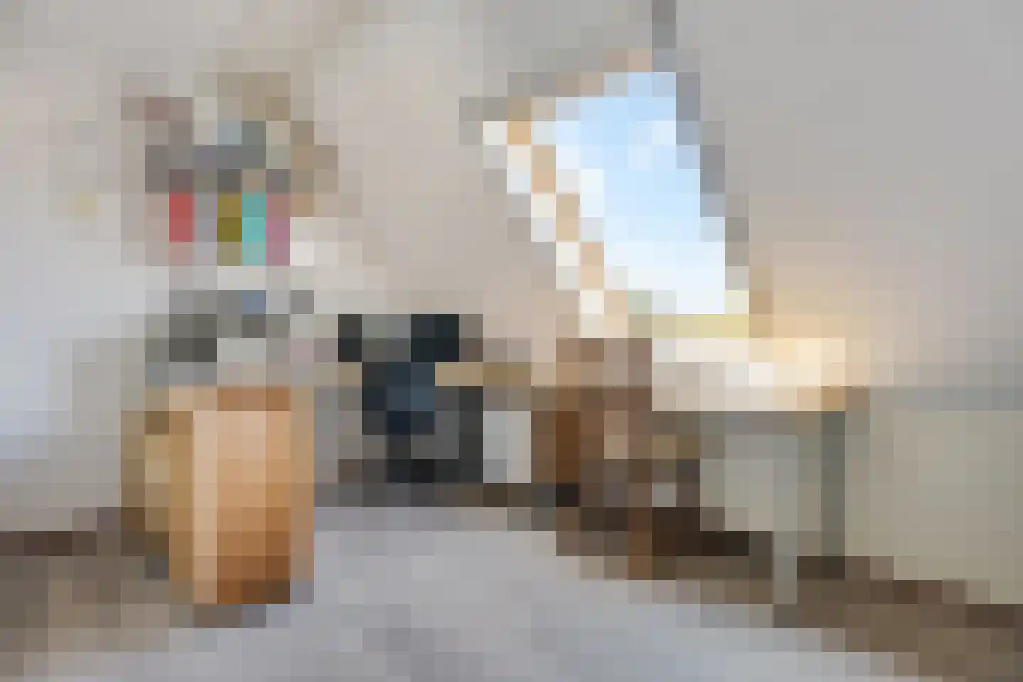 Tijgeroogdreef 10 Emmen thumbnail 27
