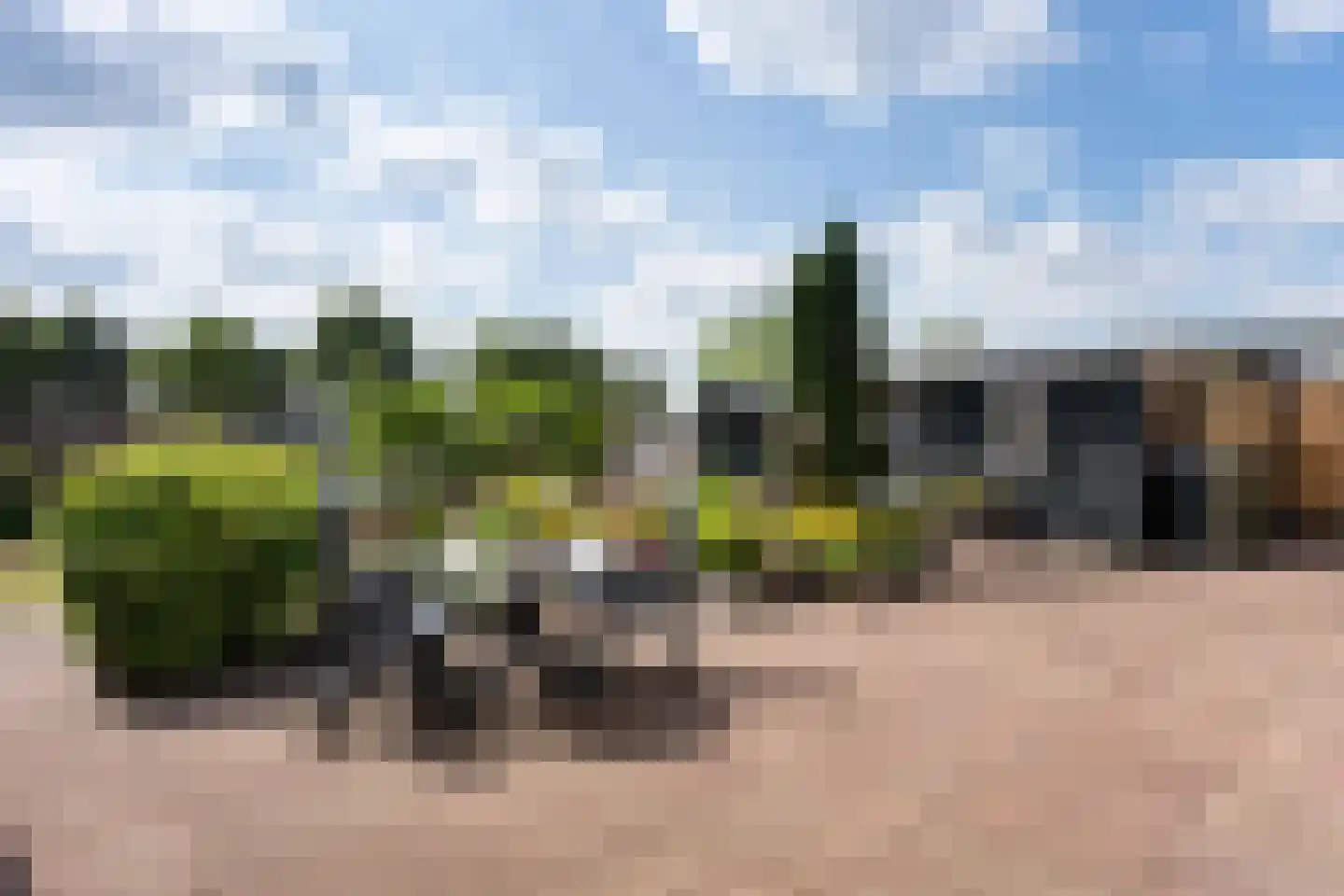 Tijgeroogdreef 10 Emmen thumbnail 34