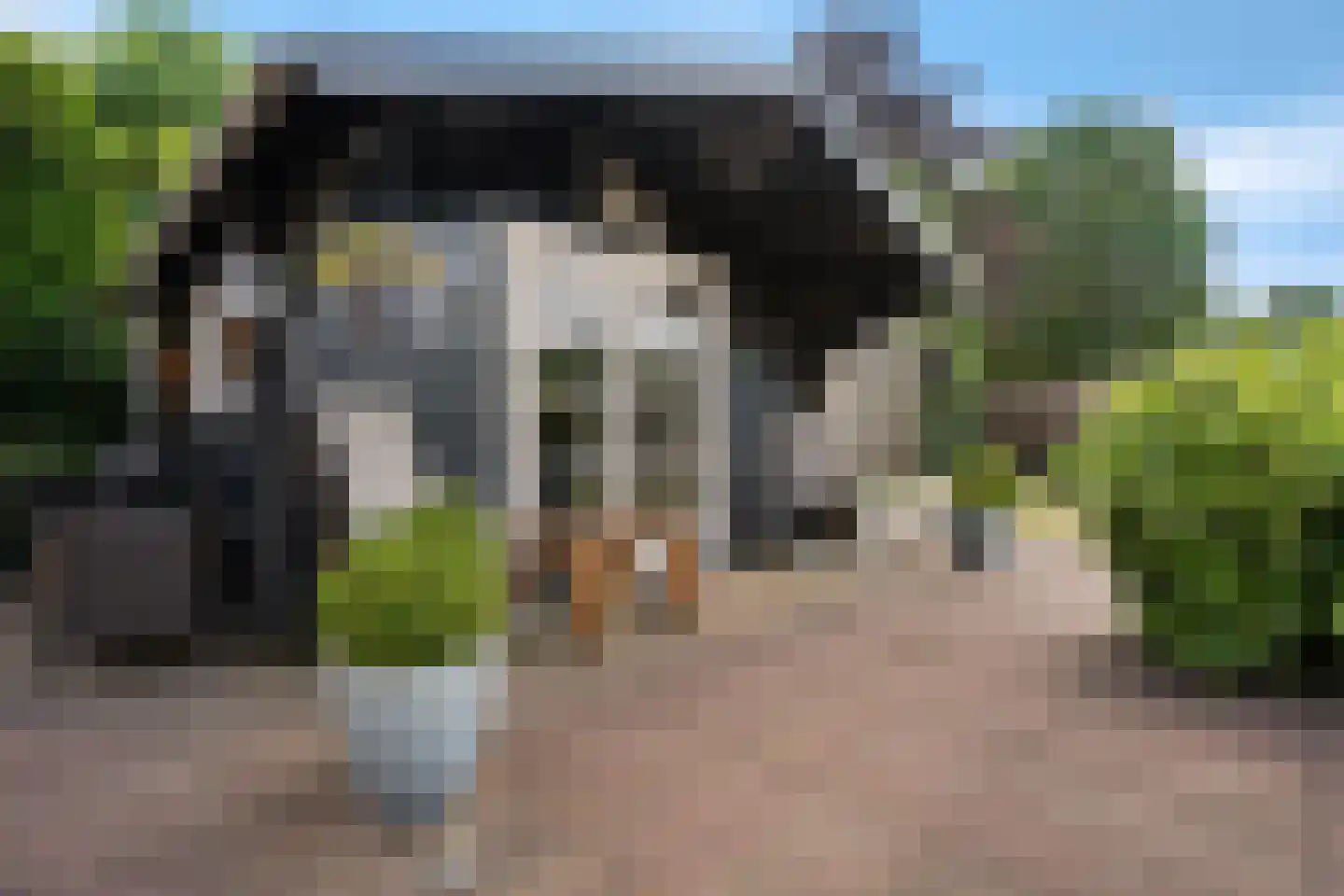 Tijgeroogdreef 10 Emmen thumbnail 36
