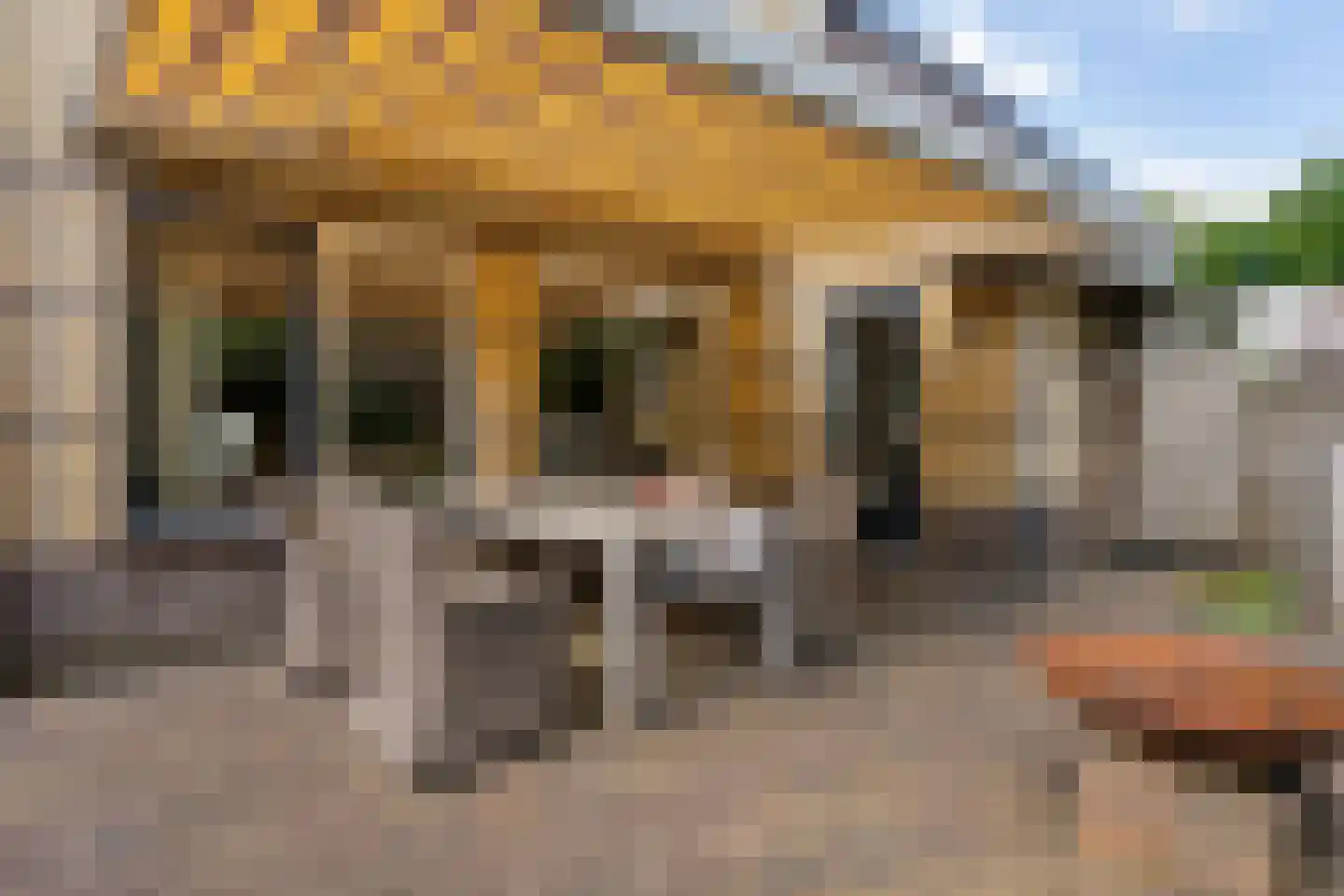 Tijgeroogdreef 10 Emmen thumbnail 37