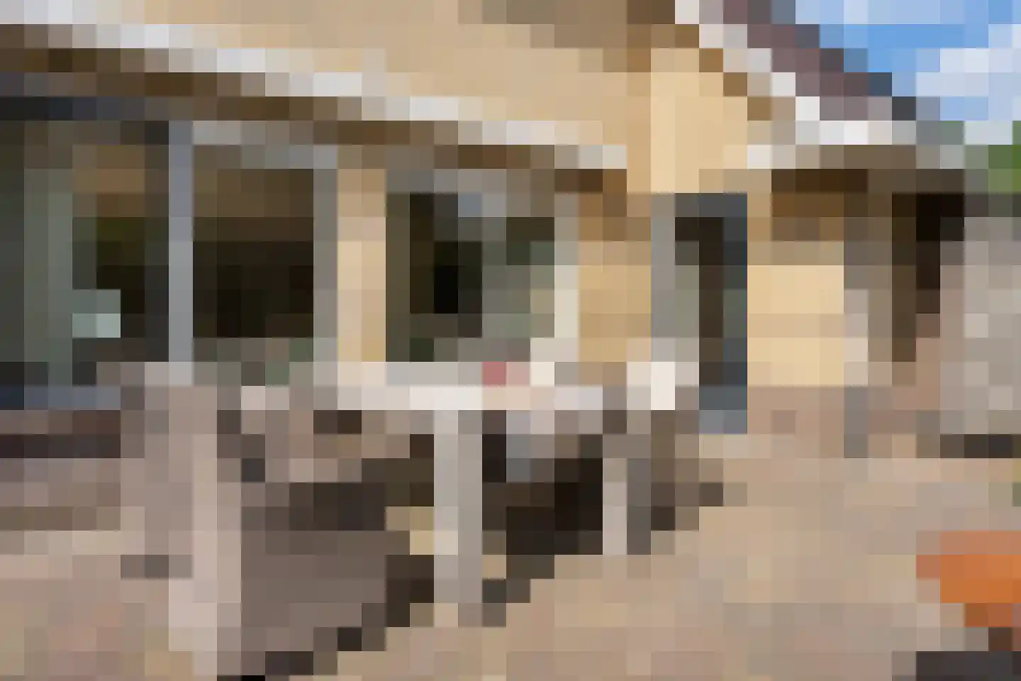 Tijgeroogdreef 10 Emmen thumbnail 38