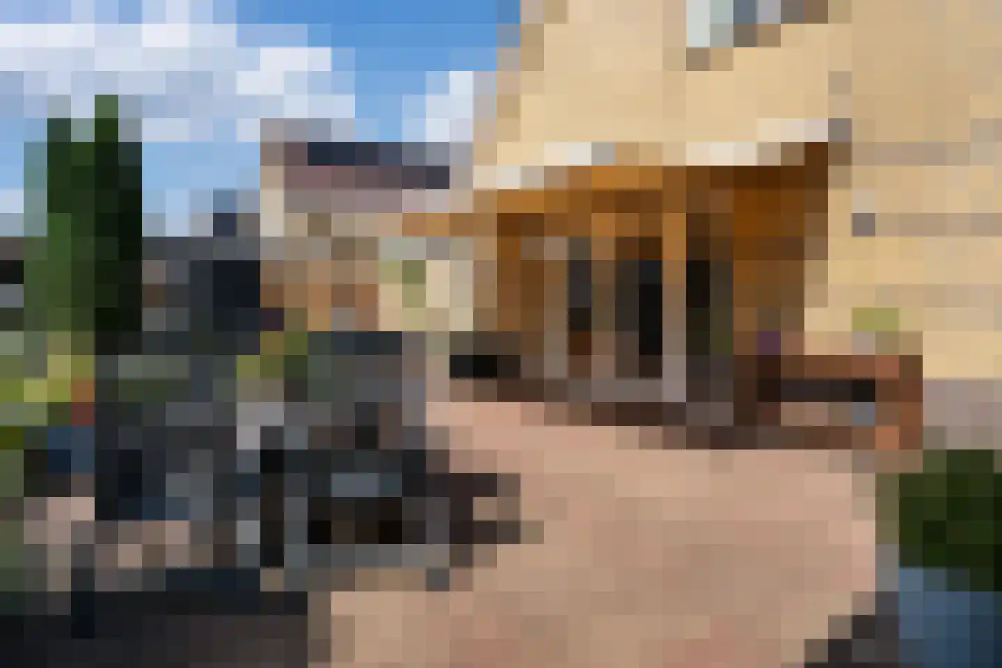 Tijgeroogdreef 10 Emmen thumbnail 39
