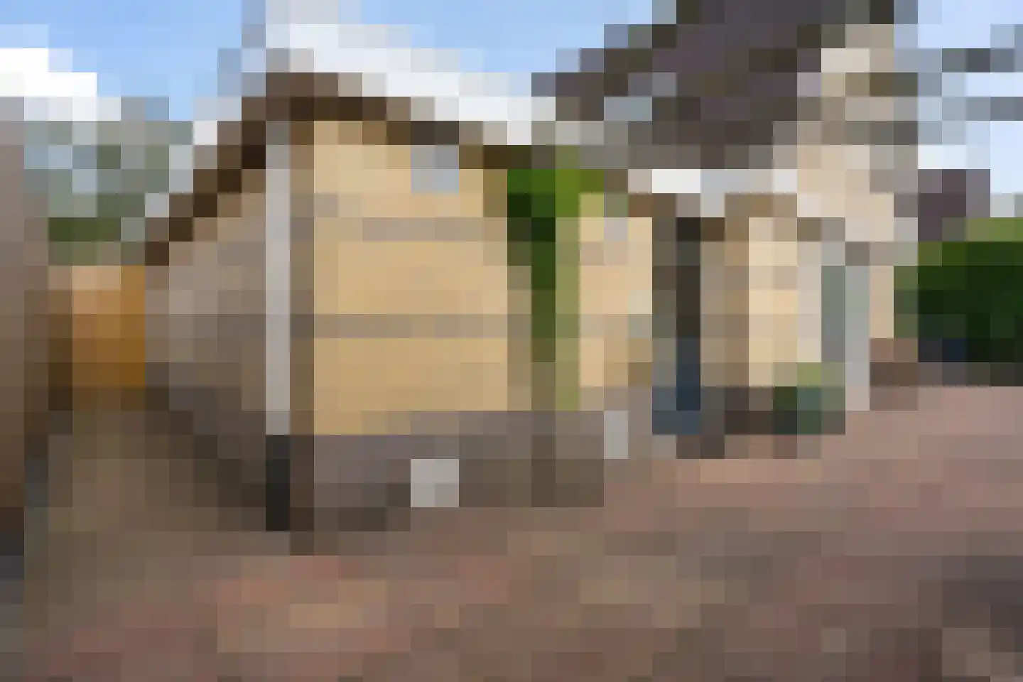 Tijgeroogdreef 10 Emmen thumbnail 41