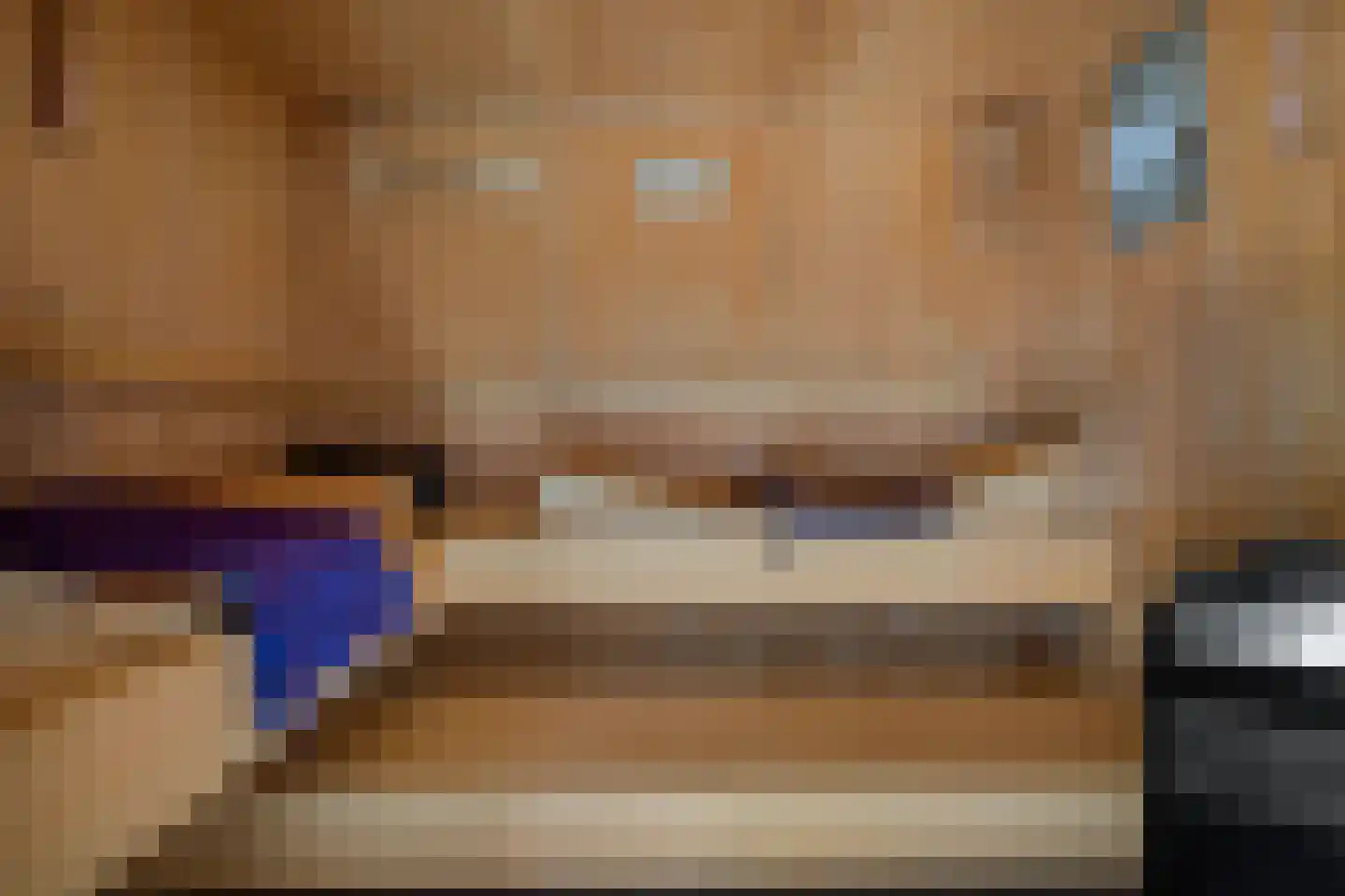 Tijgeroogdreef 10 Emmen thumbnail 43
