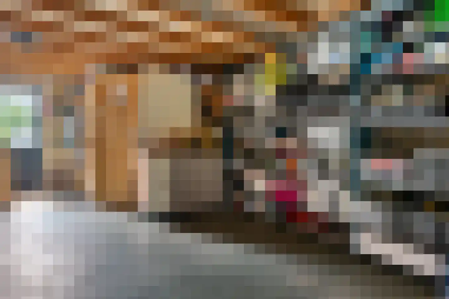 Tijgeroogdreef 10 Emmen thumbnail 44