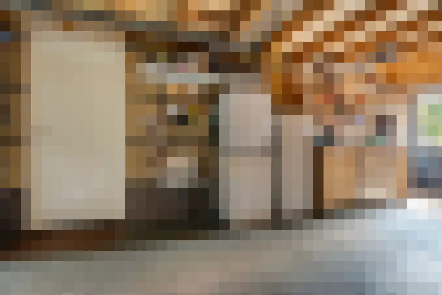 Tijgeroogdreef 10 Emmen thumbnail 45