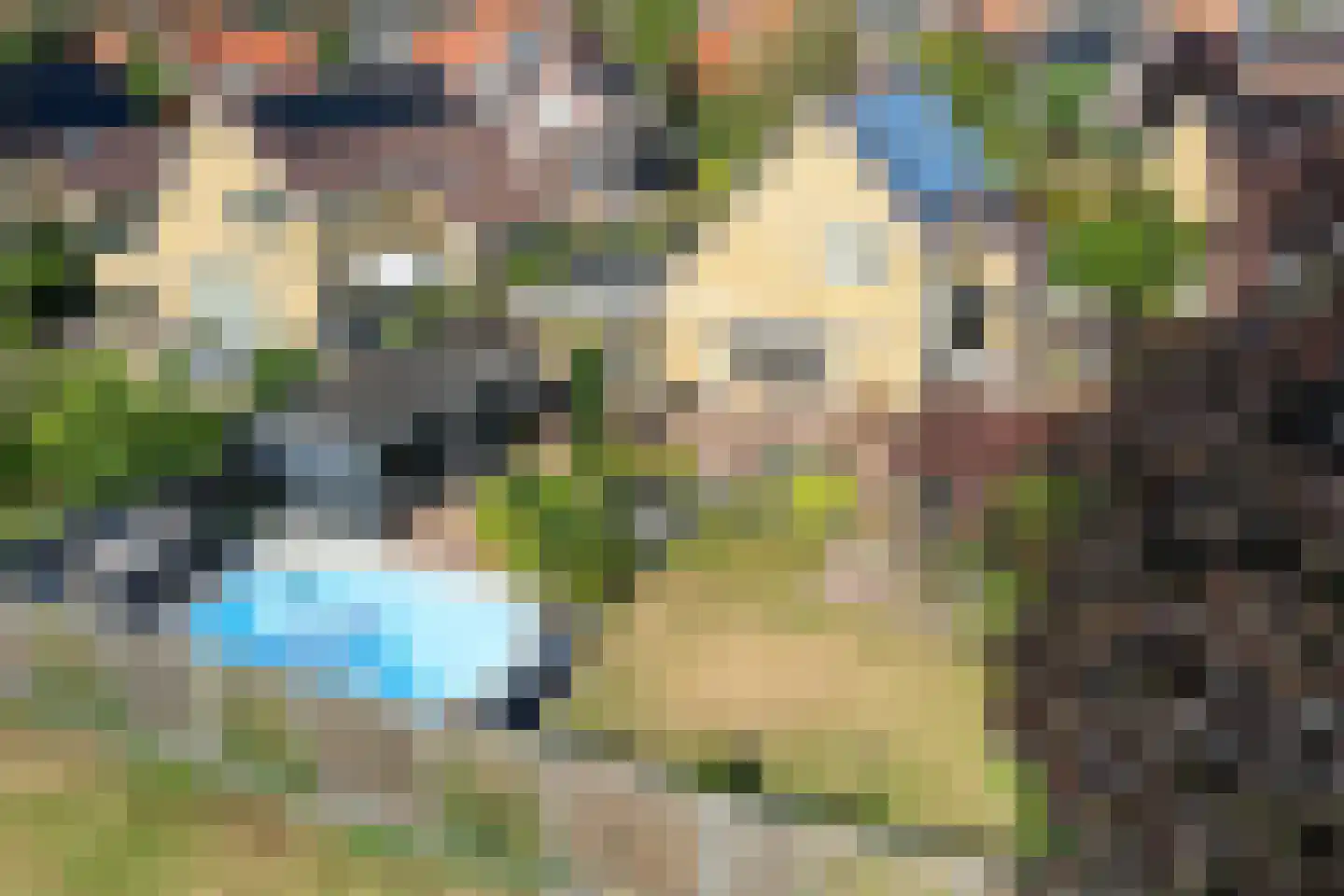 Tijgeroogdreef 10 Emmen thumbnail 46