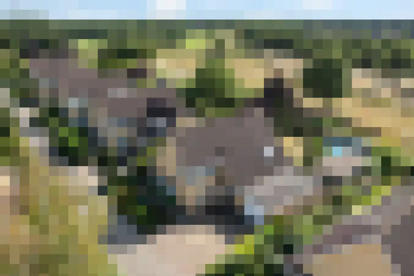 Tijgeroogdreef 10 Emmen thumbnail 48