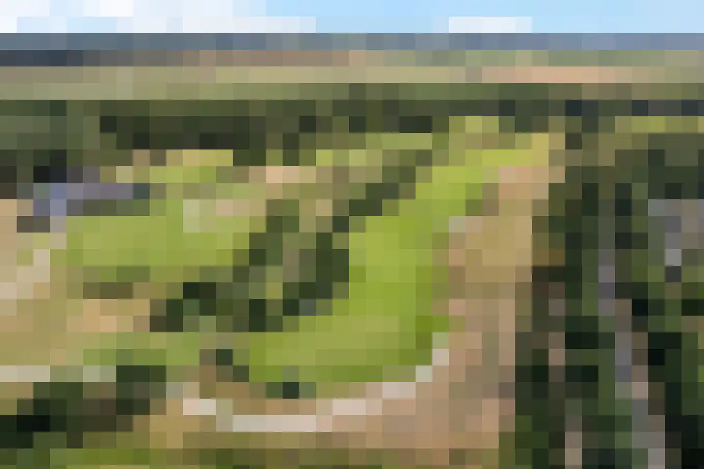Tijgeroogdreef 10 Emmen thumbnail 51