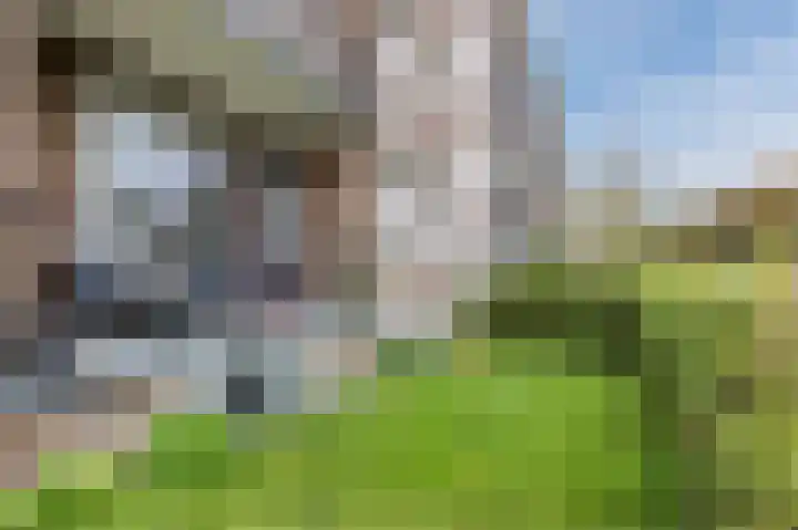 Tijgerstraat 1 Nijmegen thumbnail 30