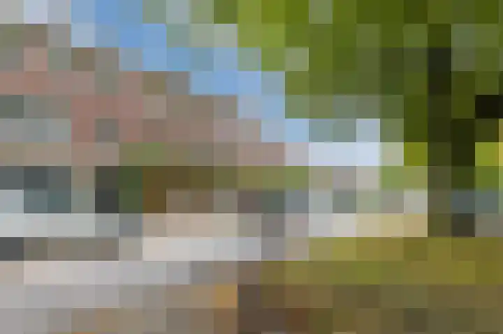 Tijgerstraat 1 Nijmegen thumbnail 32