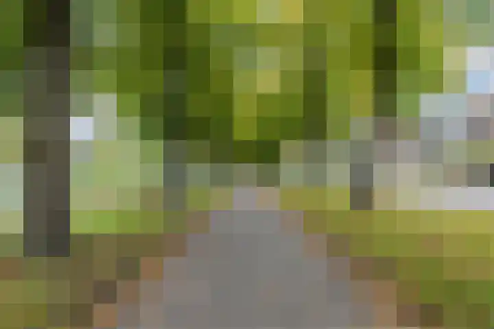 Tijgerstraat 1 Nijmegen thumbnail 34