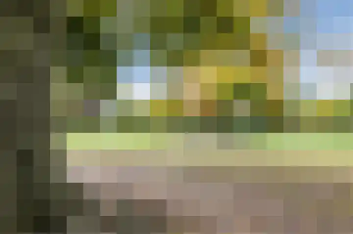 Tijgerstraat 1 Nijmegen thumbnail 36