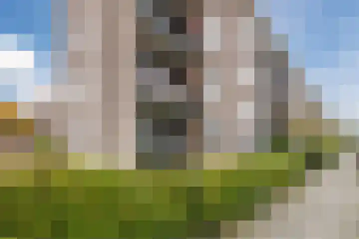 Tijgerstraat 1 Nijmegen thumbnail 5