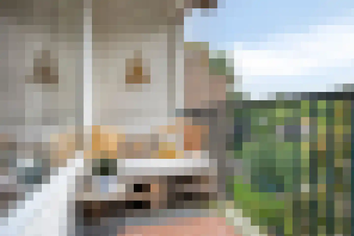 Tijgerstraat 137 Nijmegen thumbnail 20