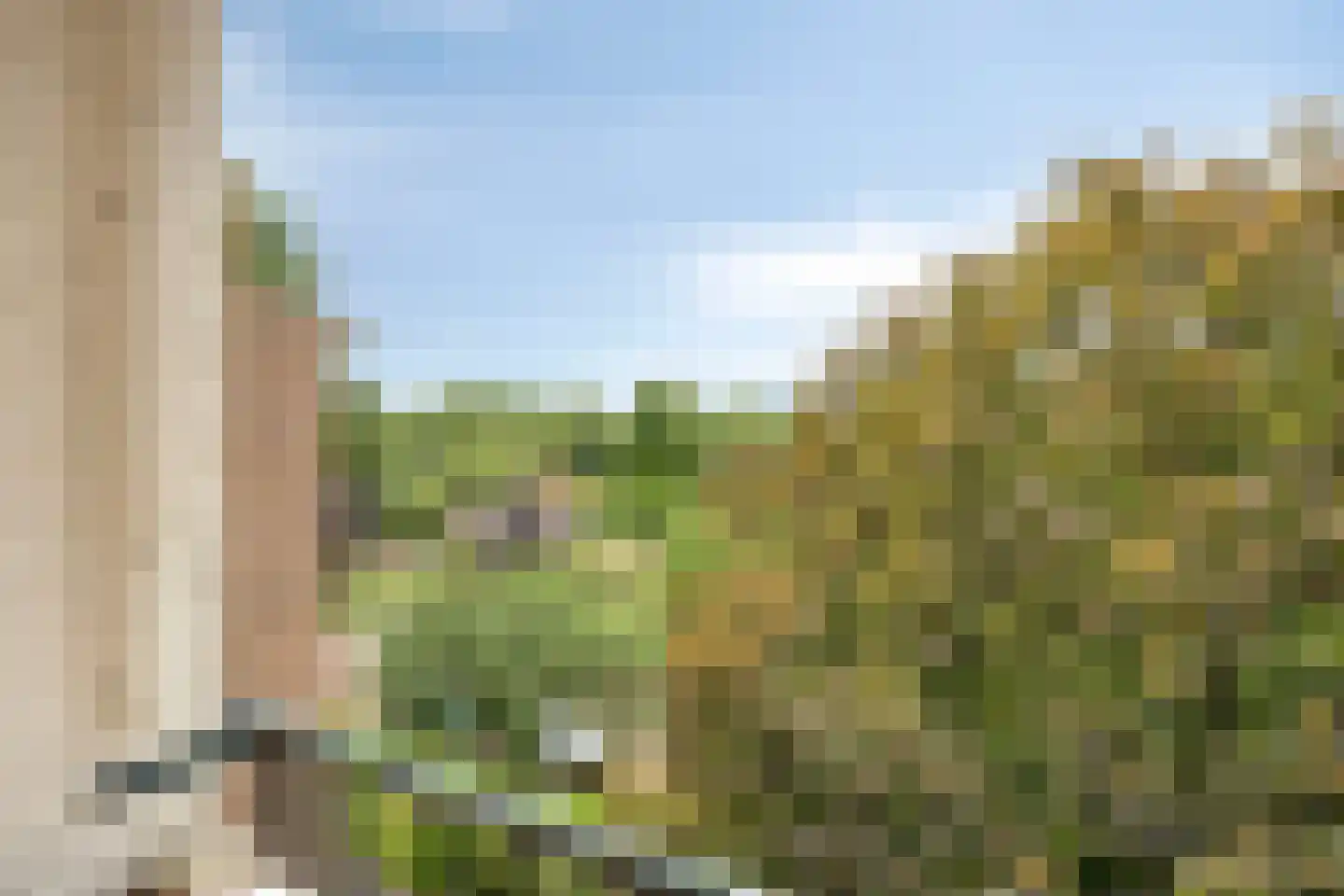 Tijgerstraat 137 Nijmegen thumbnail 23