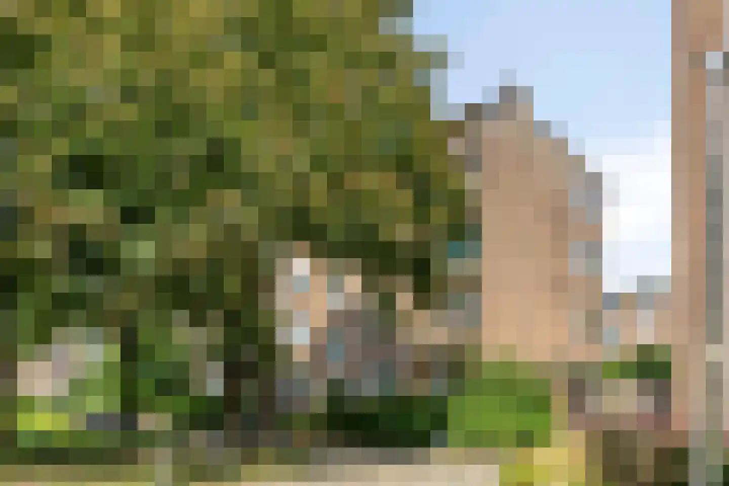 Tijgerstraat 137 Nijmegen thumbnail 7