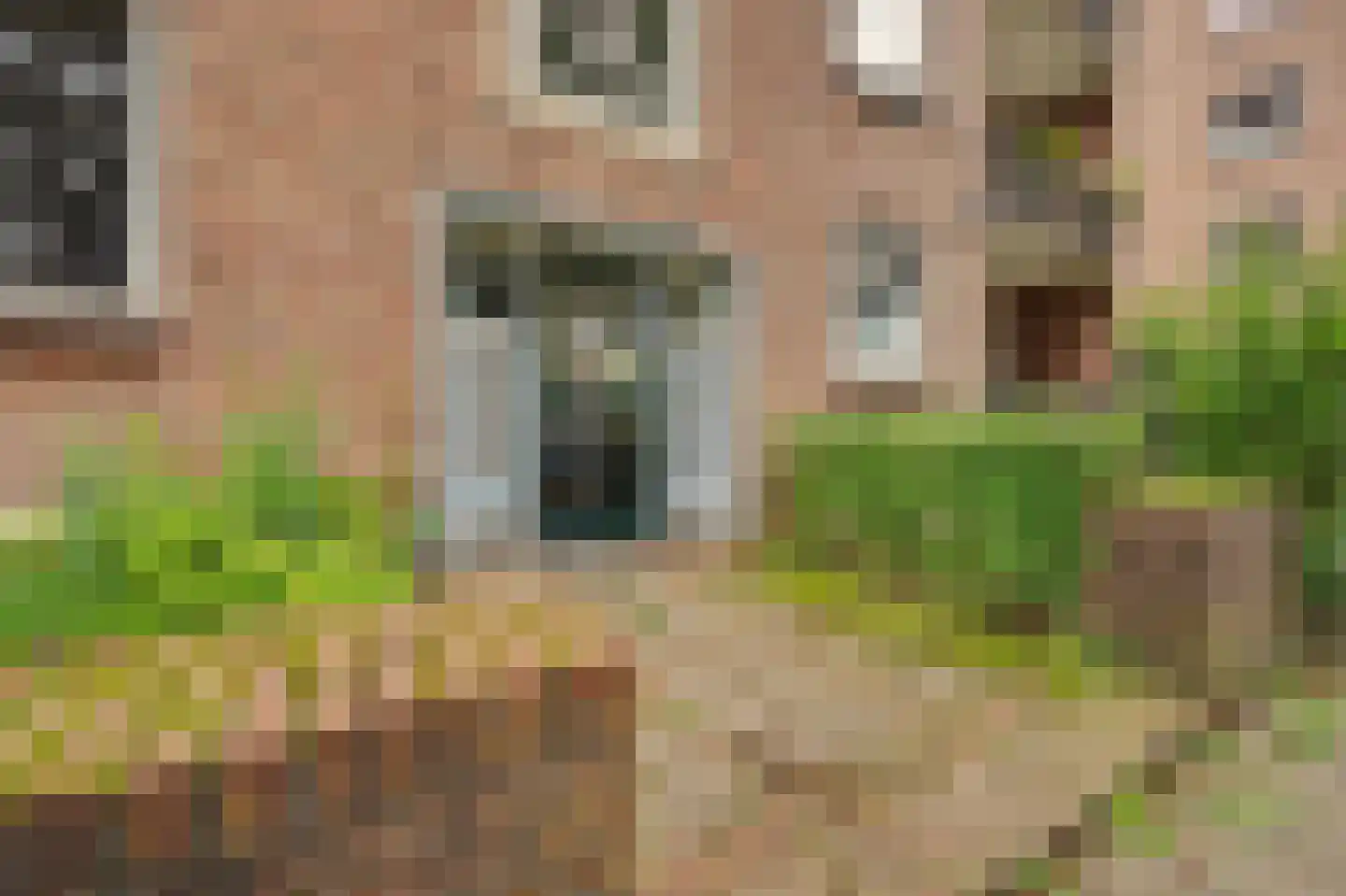 Tijgerstraat 141 Nijmegen thumbnail 10